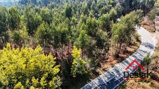 Land for sale in São Pedro do Sul, Portugal — €23,000