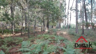 Land for sale in Vouzela, Portugal — €33,690