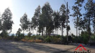 Land for sale in Vouzela, Portugal — €474,000