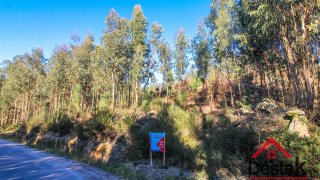 Land for sale in Oliveira de Frades, Portugal — €35,000