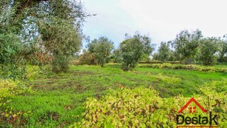 Terreno em Viseu · 2559 m² · 57 000 €