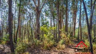 Land for sale in São Pedro do Sul, Portugal — €11,000