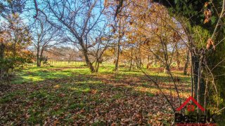 Land for sale in São Pedro do Sul, Portugal