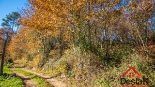 Land for sale in São Pedro do Sul, Portugal — €22,500