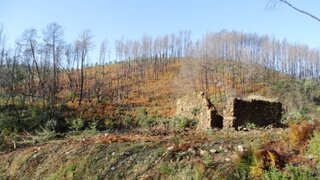 Land for sale in Pedrógão Grande, Portugal — €10,000
