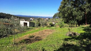 Land for sale in Sertã, Portugal — €39,000