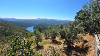 Land for sale in Pampilhosa da Serra, Portugal — €17,500
