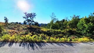 Land for sale in Pedrógão Grande, Portugal — €22,500