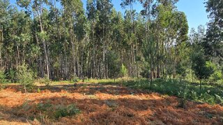 Land for sale in Pedrógão Grande, Portugal — €25,000