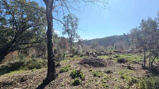 Land for sale in Pedrógão Grande, Portugal — €29,500