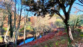 Land for sale in Pedrógão Grande, Portugal — €15,000