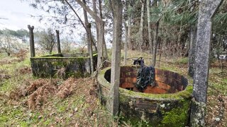 Terreno em Pedrógão Grande