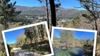 Terreno em Castanheira de Pêra