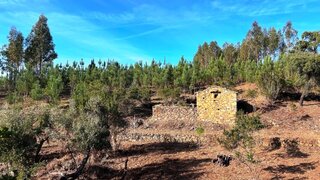Land for sale in Góis, Portugal — €30,000