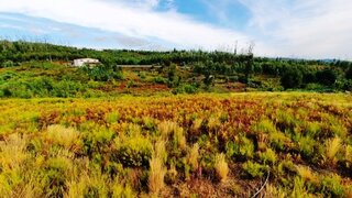 Terreno para venda em Pedrógão Grande, Portugal — 29 800 €
