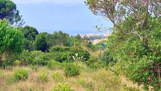Land for sale in Figueira da Foz, Portugal — €150,000