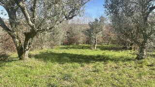 Terreno em Gouveia