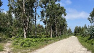 Terreno em Seia