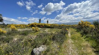 Land for sale in Seia, Portugal — €18,500