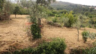 Land for sale in Gouveia, Portugal — €20,000