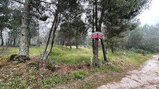 Land for sale in Seia, Portugal — €15,000
