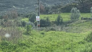 Land for sale in Gouveia, Portugal — €19,750