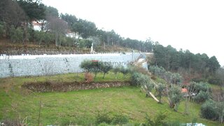 Terreno em Manteigas