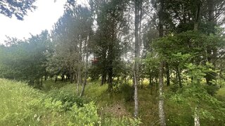 Land for sale in Gouveia, Portugal — €30,000