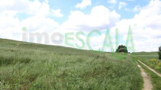 Terreno de 18 600 m² em Santarém
