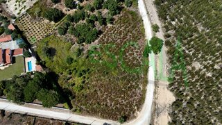 Land for sale in Cartaxo, Portugal — €42,000