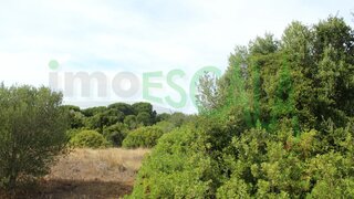 Terreno em Cartaxo