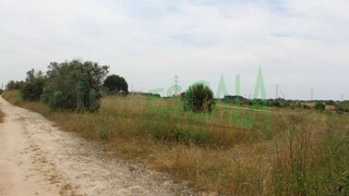 Terreno em Cartaxo