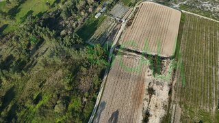 Land for sale in Azambuja, Portugal — €155,000