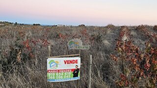 Land for sale in Reguengos de Monsaraz, Portugal — €300,000