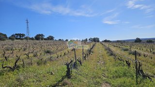 Land for sale in Reguengos de Monsaraz, Portugal — €40,000