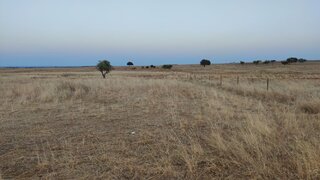 Land for sale in Reguengos de Monsaraz, Portugal — €17,500