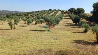 Land for sale in Marvão, Portugal — €65,000