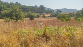 Land for sale in Marvão, Portugal — €190,000