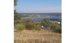 Terreno em Ponte de Sor