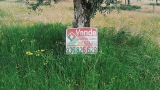 Land for sale in Ponte de Sor, Portugal — €58,000