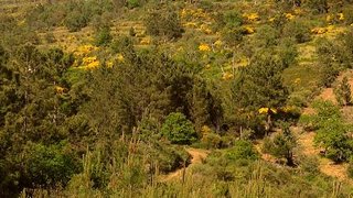 Land for sale in Marvão, Portugal