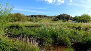 Land for sale in Marvão, Portugal — €20,000