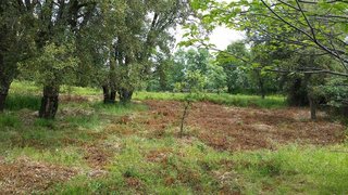 Land for sale in Castelo de Vide, Portugal — €140,000