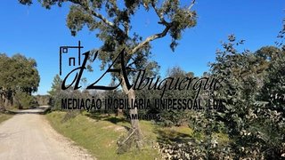 Land for sale in Ponte de Sor, Portugal — €30,000