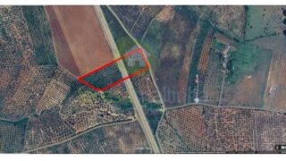 Terreno em Elvas