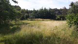 Land for sale in Viseu, Portugal — €97,000