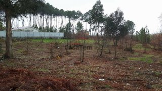 Terreno de 5200 m² em Viseu