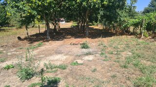 Land for sale in Vouzela, Portugal — €40,000