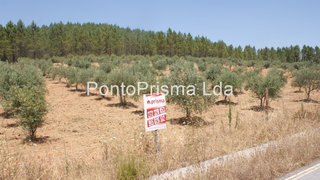 Terreno em Castelo Branco · 145 880 m² · 159 000 €