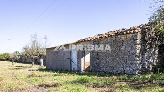 Terreno de 4250 m² em Castelo Branco